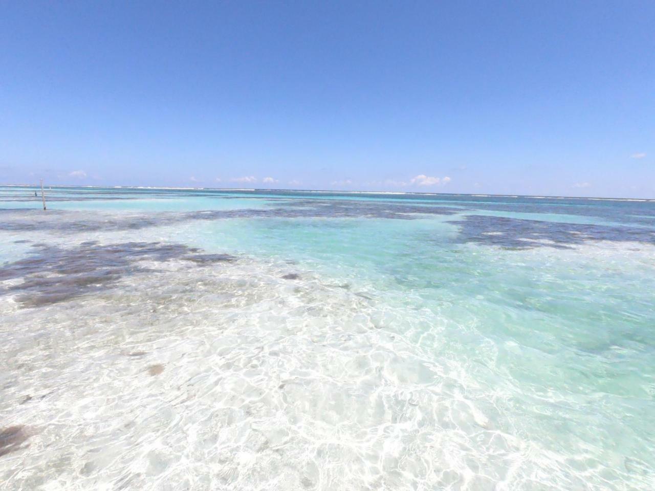 Palmeras De Mahahual Cabanas Luaran gambar