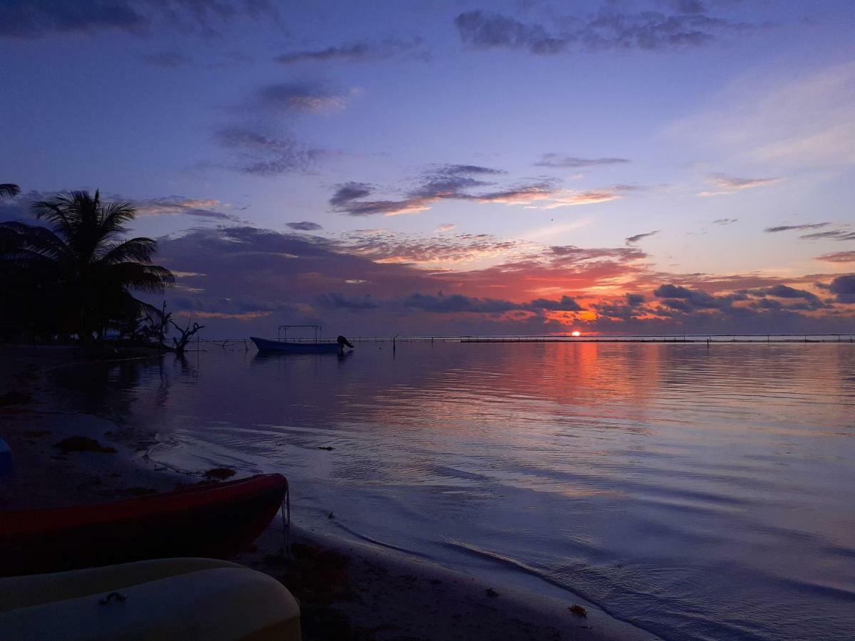 Palmeras De Mahahual Cabanas Luaran gambar