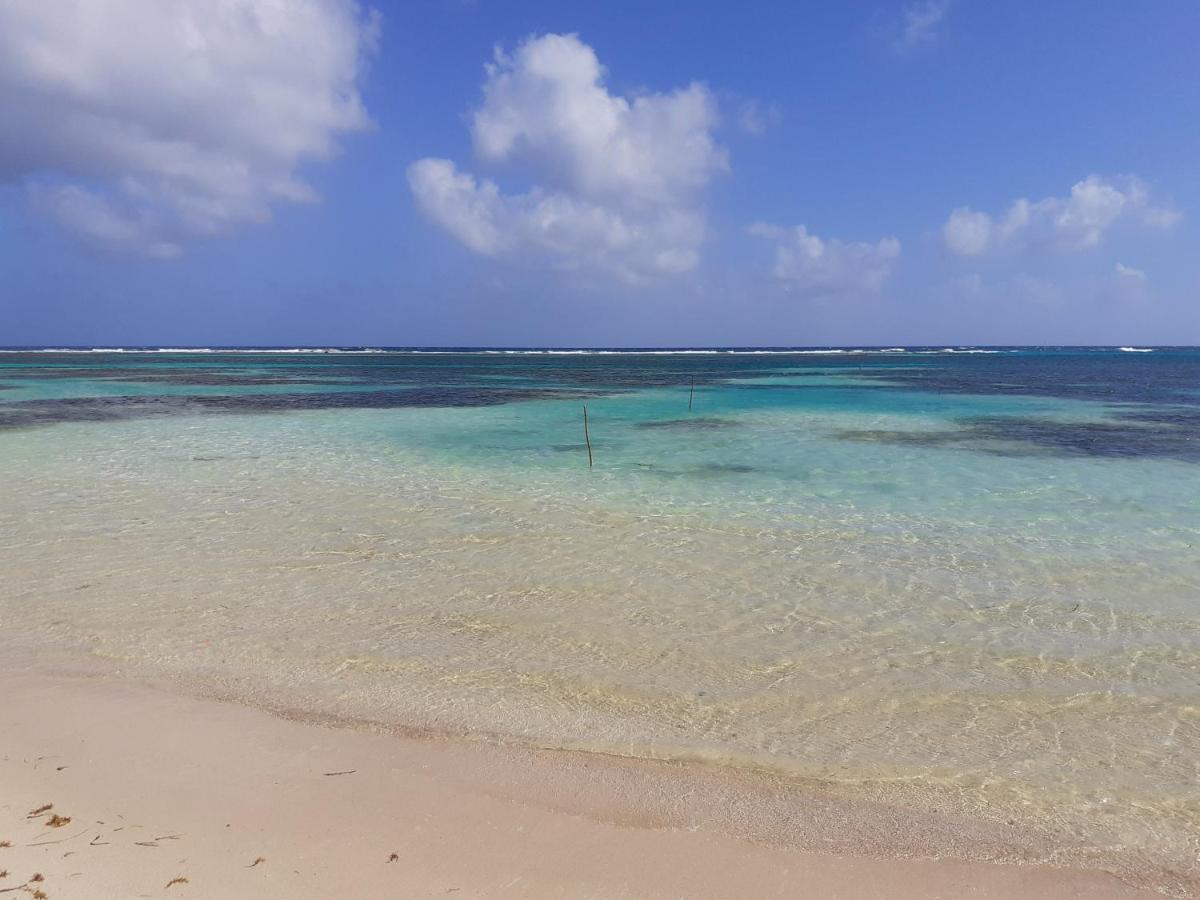 Palmeras De Mahahual Cabanas Luaran gambar